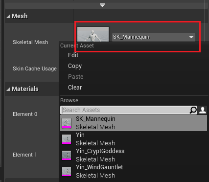 _images/change_seletal_mesh.png
